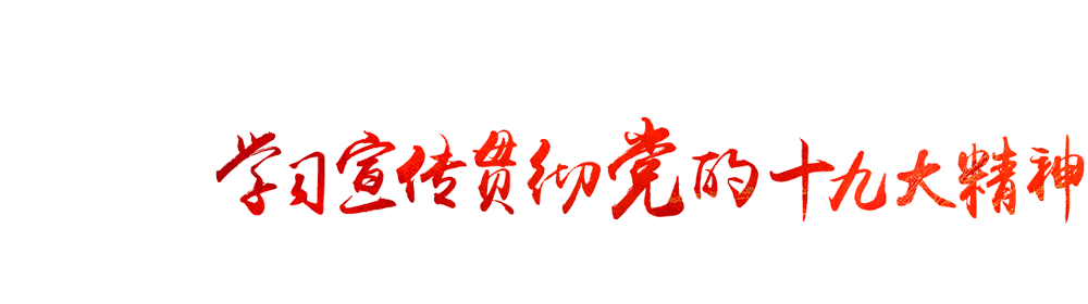 学习宣传贯彻党的十九大精神